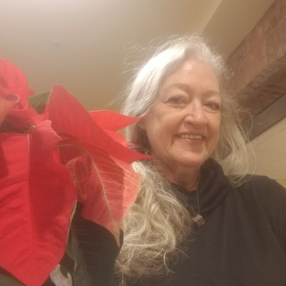 $15 MINIMUM Sale - Picture 1 of 16